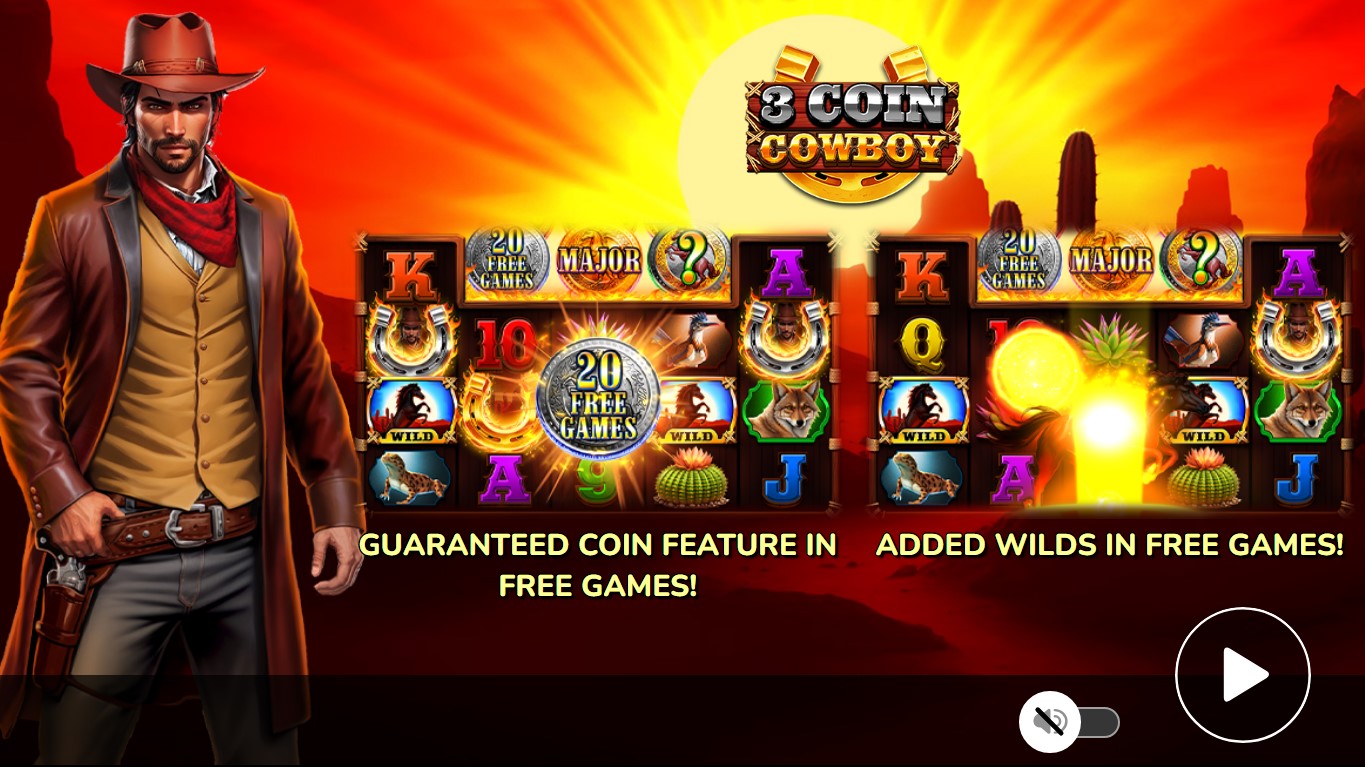 3 Coin Cowboy