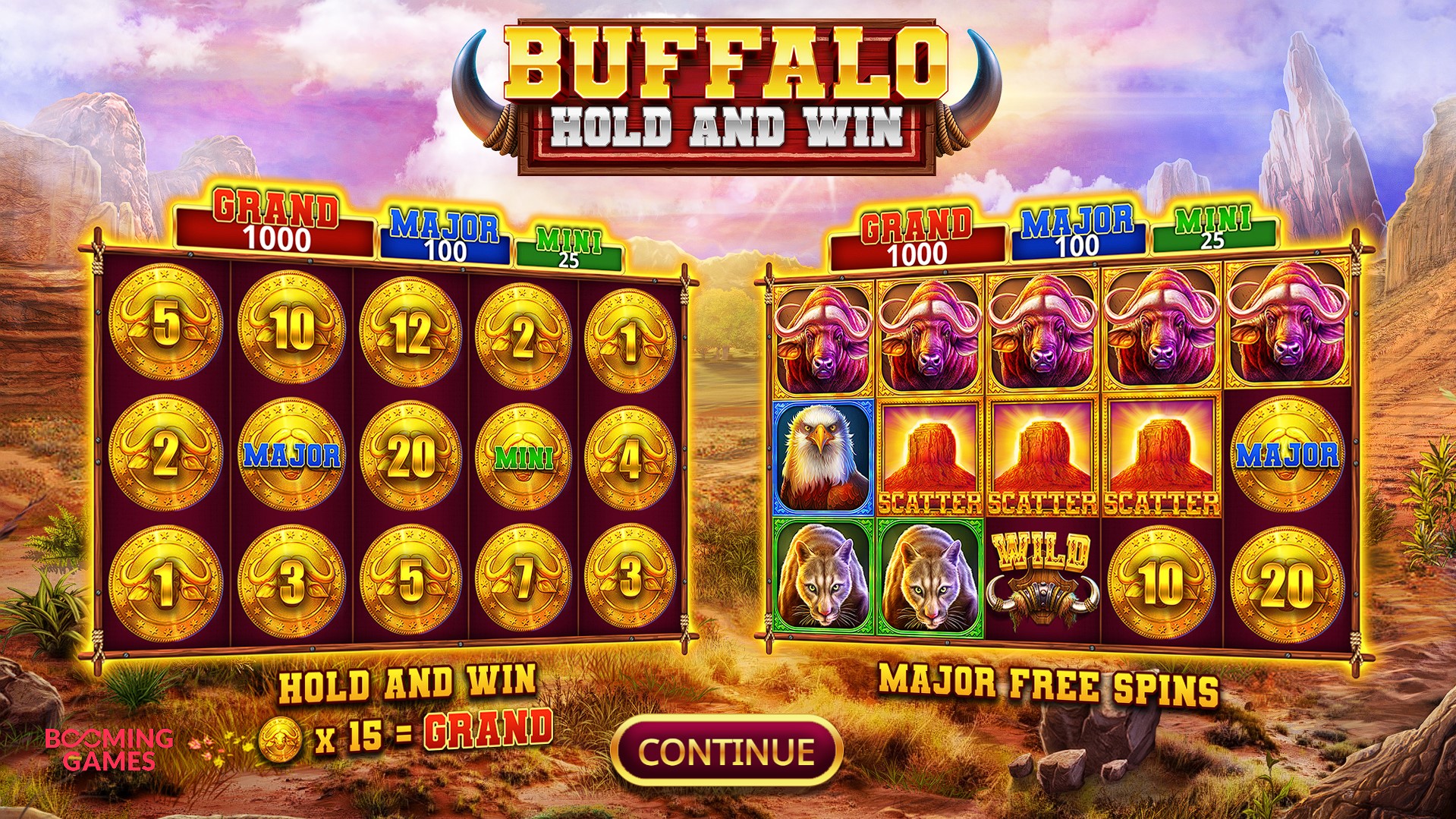 Buffalo Hold and Win