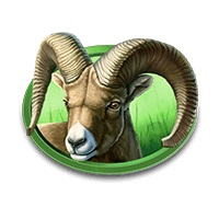 Antelope symbol in Buffalo Bucks pokie