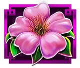 Flower symbol in Divine Empress pokie