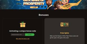 PlayFortuna casino: Bonuses