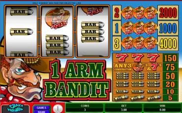 1 Arm Bandit pokie NZ