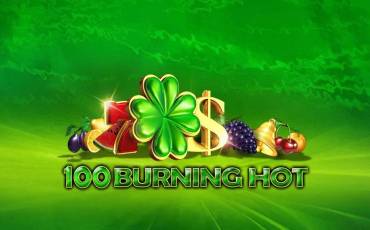 100 Burning Hot pokie NZ