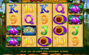 100 Ladies pokie NZ