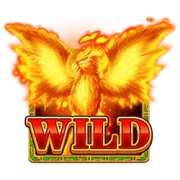 Wild symbol in The Wild Wings of Phoenix pokie