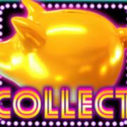 20 Golden Coins: Collect