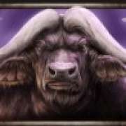 Buffalo symbol in Savanna Roar pokie