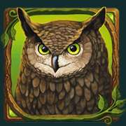 Owl symbol in Druids’ Dream pokie