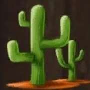 Cactus symbol in Wild Bounty pokie