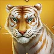 Tigress symbol in Tiger Tiger pokie