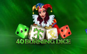 40 Burning Dice pokie NZ