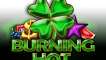 Play 40 Burning Hot Clover Chance pokie NZ