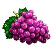 Grapes symbol in 20 Hot Super Fruits pokie