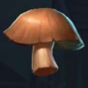 Mushroom symbol in Rocco Gallo pokie