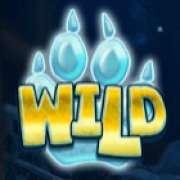 Wild symbol in Wolf Cub pokie