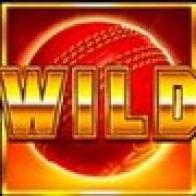 Wild symbol in Cricket Heroes pokie