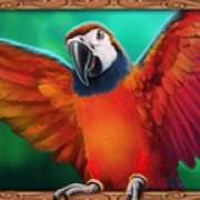 Parrot symbol in 3 Genie Wishes pokie