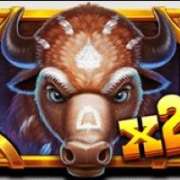 Wild X2 symbol in Wild Bison Charge pokie