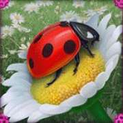 Ladybug symbol in Serendipity pokie