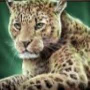 Cheetah symbol in Savanna Roar pokie