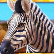 Zebra symbol in Wild Herd pokie