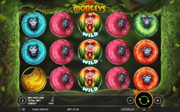 7 Monkeys pokie NZ