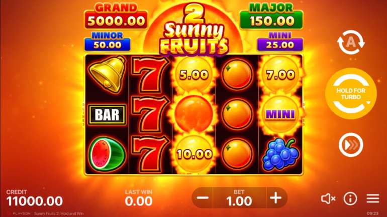 Sunny Fruits 2: Hold and Win