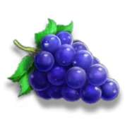 Grapes symbol in 7s Fury 40 pokie