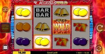 7s Deluxe Wild Fortune Play: Winnings