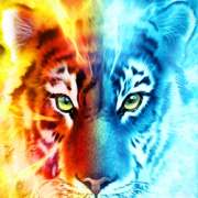 Tiger symbol in Blaze and Frost pokie