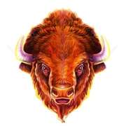 Bison symbol in Blazing Bison Gold Blitz pokie
