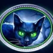 Cat symbol in Tales of Darkness: Full Moon pokie