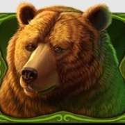 The bear symbol symbol in Wild Bison Charge pokie