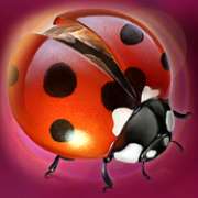 Ladybug symbol in Lucky Lands pokie