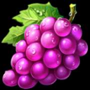 Grape symbol in Joker Expand: 5 Lines pokie