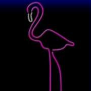 Фламинго symbol in Neon Life pokie