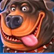 Rottweiler symbol in The Dog House Megaways pokie