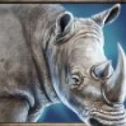 Rhino symbol in Savanna Roar pokie