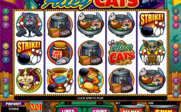 Alley Cats pokie NZ