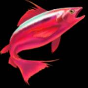 Amazing Catch Power Combo: Red fish