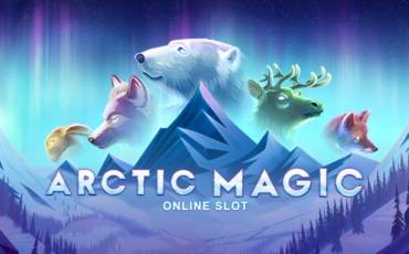 Arctic Magic pokie NZ