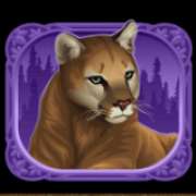 Cougar symbol in Exotic Cats pokie