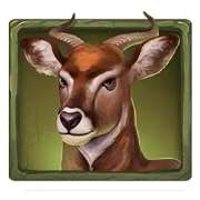 Antelope symbol in Akiva: Claws of Power pokie