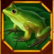 Frog symbol in Dawn of El Dorado pokie