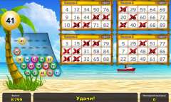 Play Beach Party Bingo