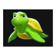 Turtle symbol in Pearl Ocean: Hold and Win pokie