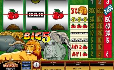 Big 5 pokie NZ