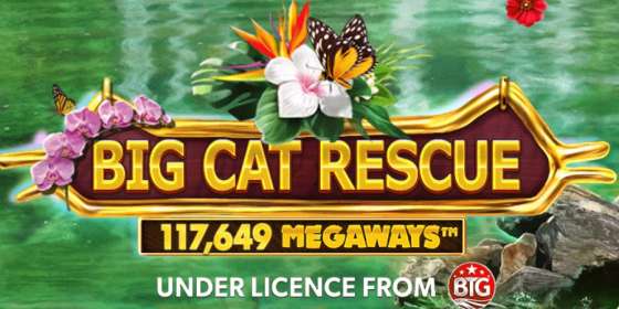 Big Cat Rescue Megaways by Red Tiger NZ