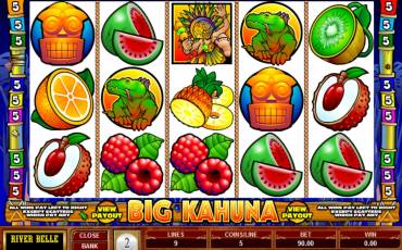 Big Kahuna pokie NZ