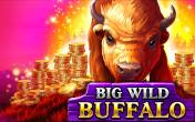 Big Wild Buffalo logo